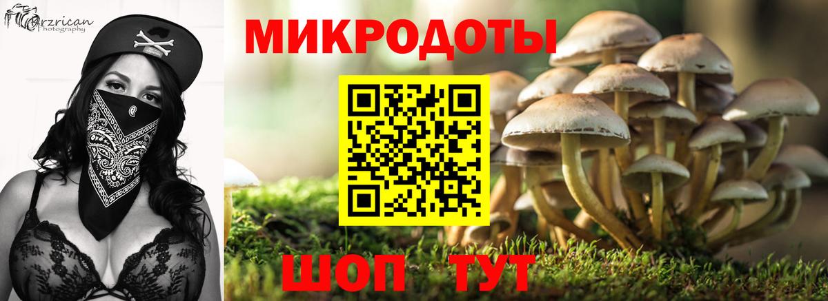 Ржев  Псилоцибиновые грибы прущие грибы  Галлюциногенные грибы GOLDEN TEACHER  Вход с VPN 