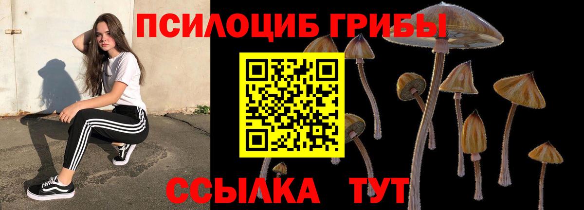 Псилоцибиновые грибы Cubensis Ржев